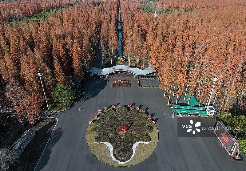 上海崇明东平国家森林公园航拍组图图片素材