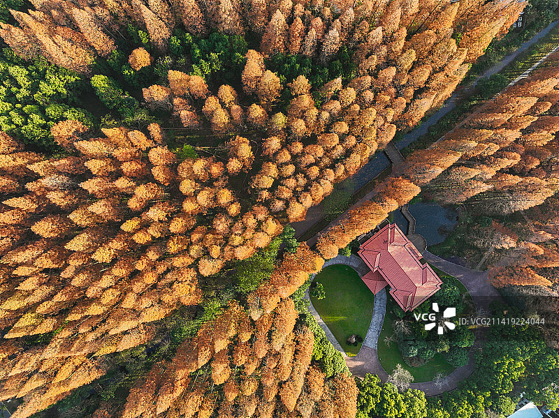 上海崇明东平国家森林公园航拍组图图片素材