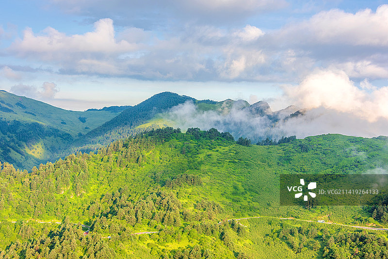 中国湖北神农架神农顶风光图片素材