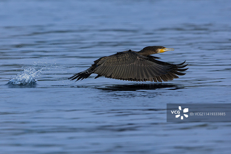 低空飞行图片素材