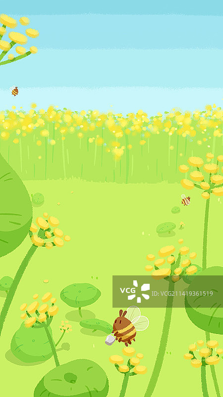 蜜蜂采蜜小黄花图片素材