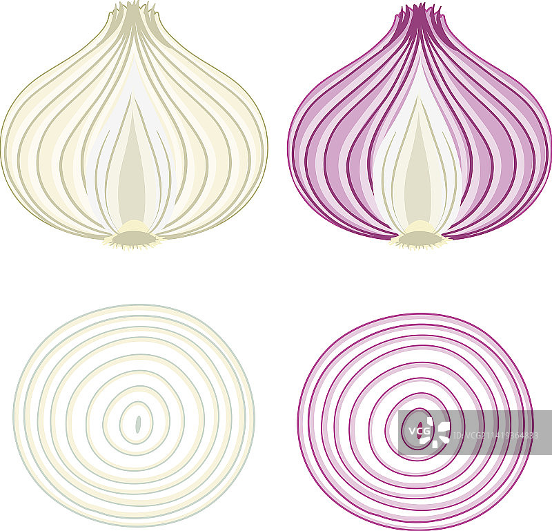 切成两半的红葱头图片素材