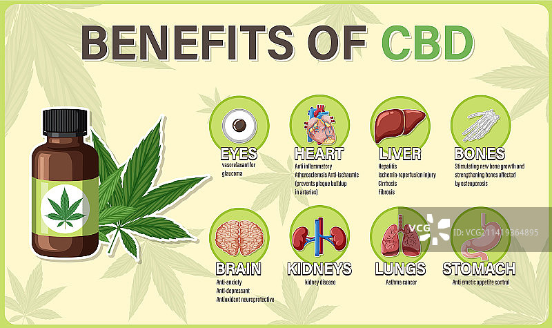 CBD对身体健康益处的图解图片素材