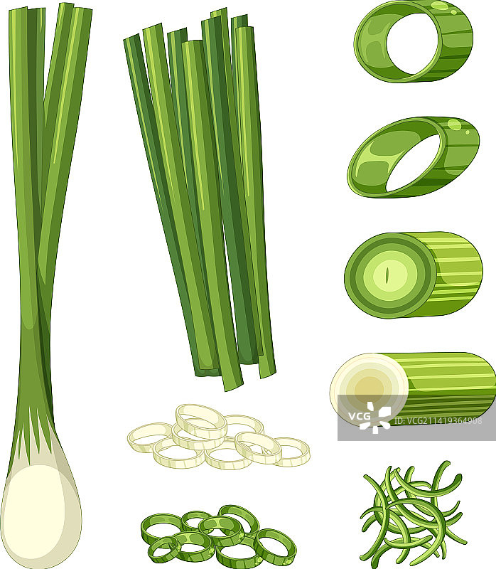 不同形态的葱图片素材