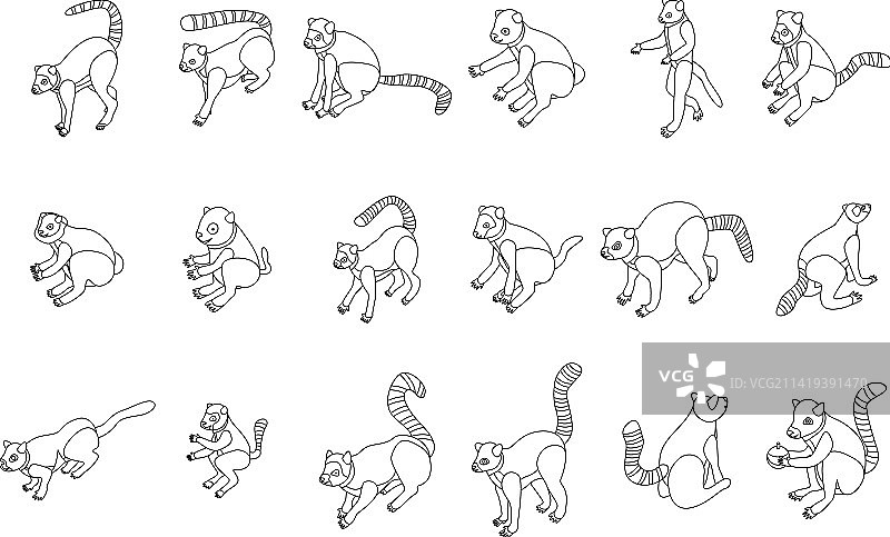 狐猴描边图标集图片素材