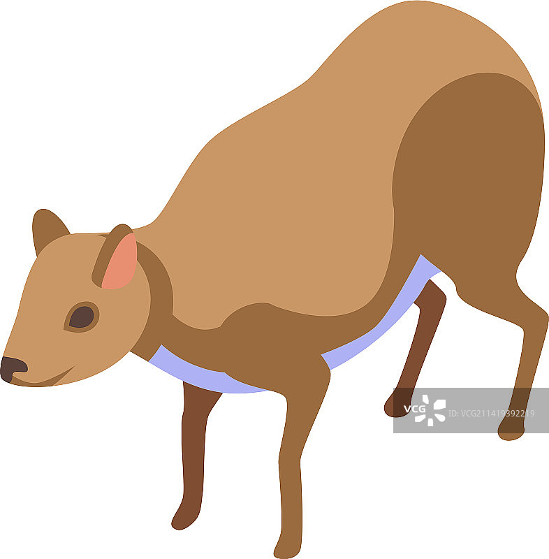 缅甸文化2.5D动物图标图片素材