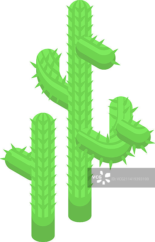 智利绿色仙人掌图标2.5D国家图片素材