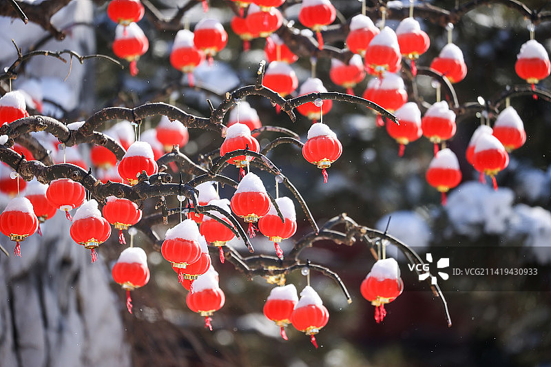 雪打红灯笼图片素材