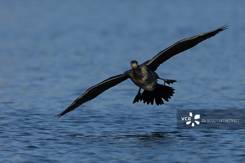 迎面而来图片素材