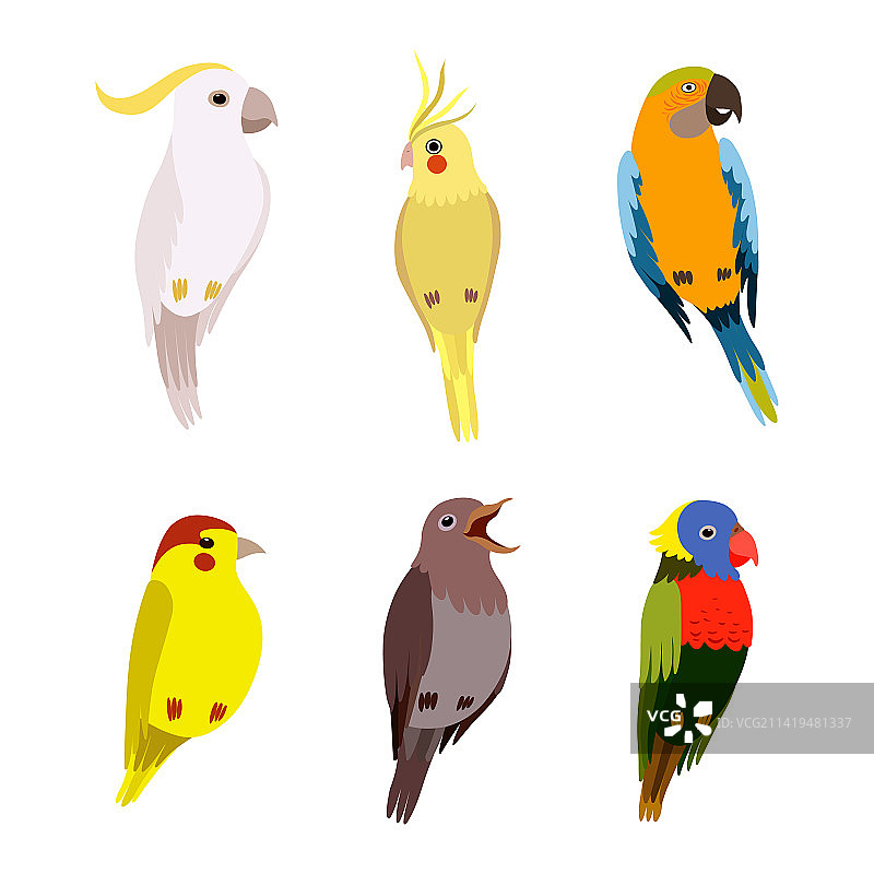 栖息的鸟类图片素材