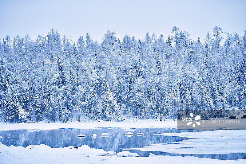 喀纳斯的冬图片素材