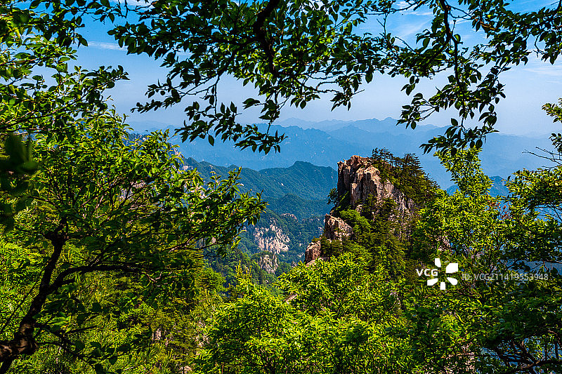 河南平顶山尧山风景区杜鹃长廊图片素材