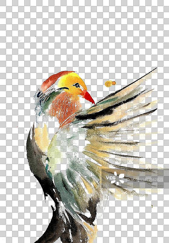 展翅的小鸟图片素材