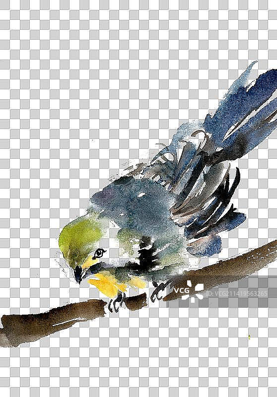 蓝色的小鸟图片素材