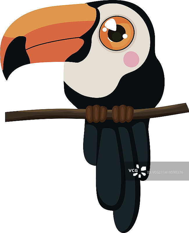 可爱的巨嘴鸟设计图片素材
