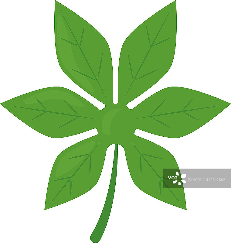 阿拉利亚叶图标图片素材