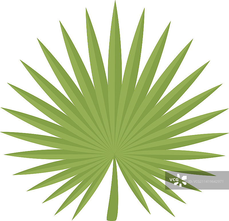 锯棕榈扇形图标图片素材