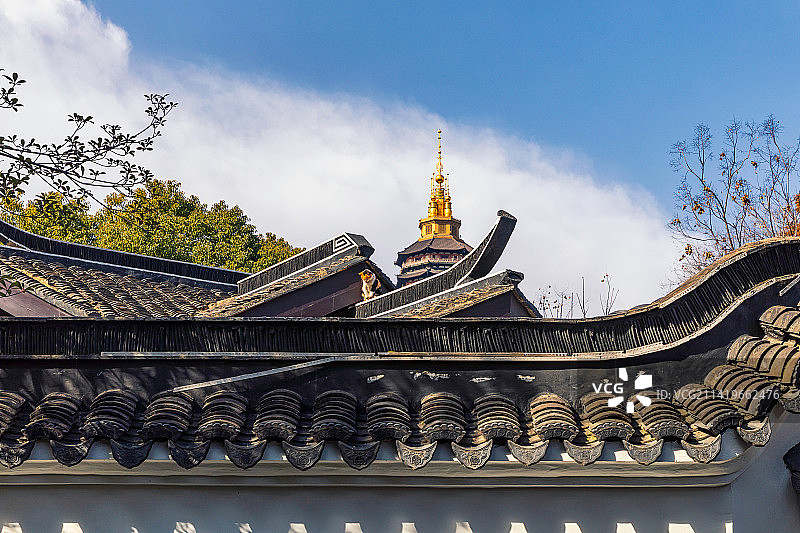 常州天宁禅寺图片素材