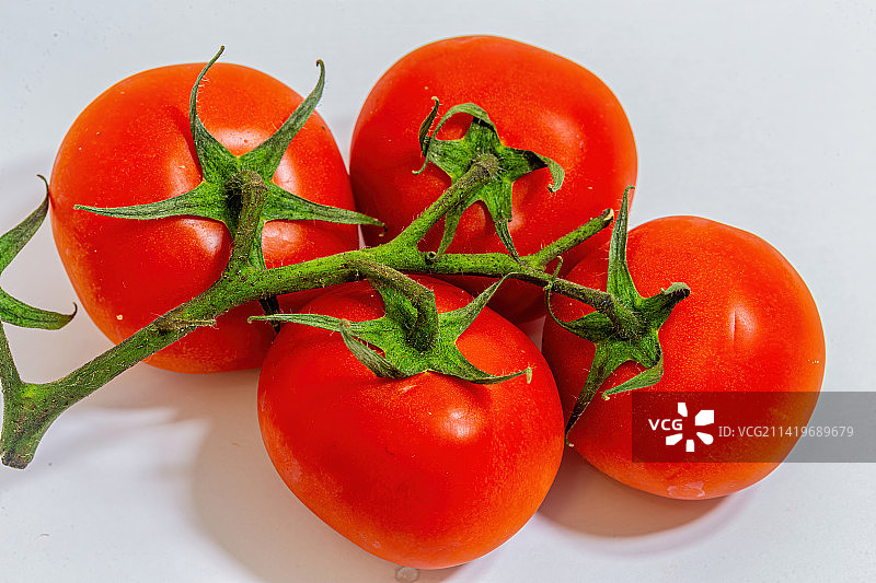 俄罗斯白色背景上的番茄特写图片素材