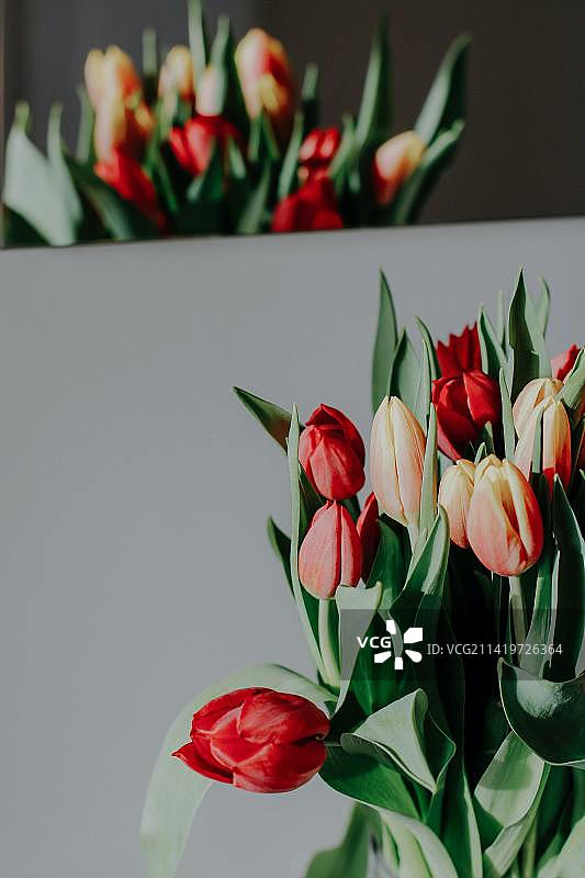 印度尼西亚桌子上花瓶里的郁金香特写图片素材