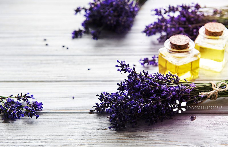 罗马尼亚的新鲜薰衣草和精油图片素材