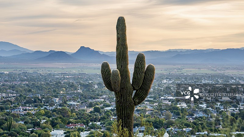 日落时分美国亚利桑那州凤凰城天空下的城市航拍景色图片素材
