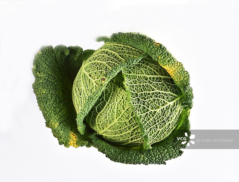 白色背景上的大头菜特写，法国图片素材