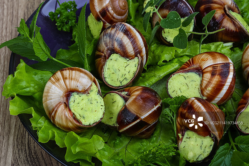 罗马尼亚蜗牛特写图片素材