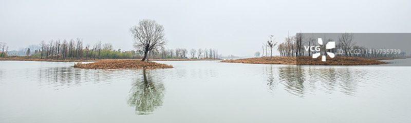 冬季扬州北湖国家湿地公园湖面景色图片素材