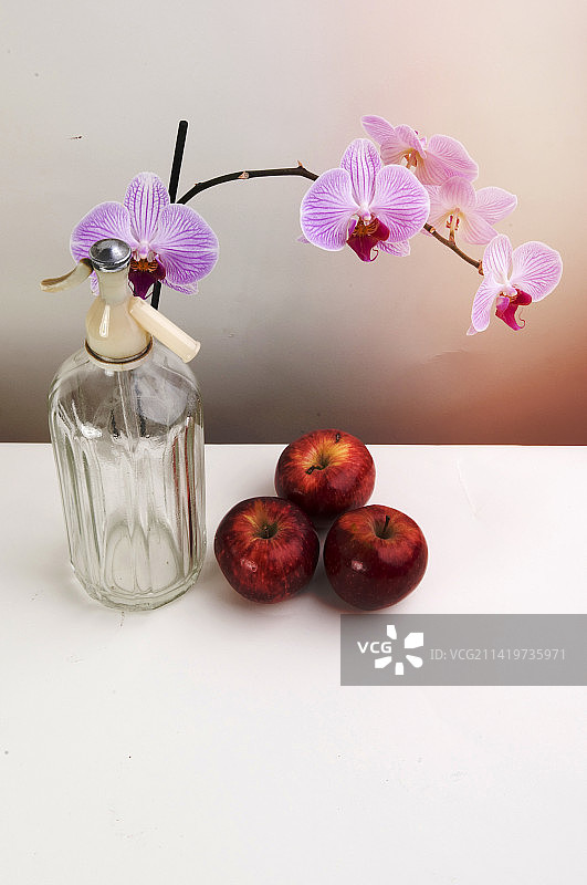 静物：兰花与苹果图片素材