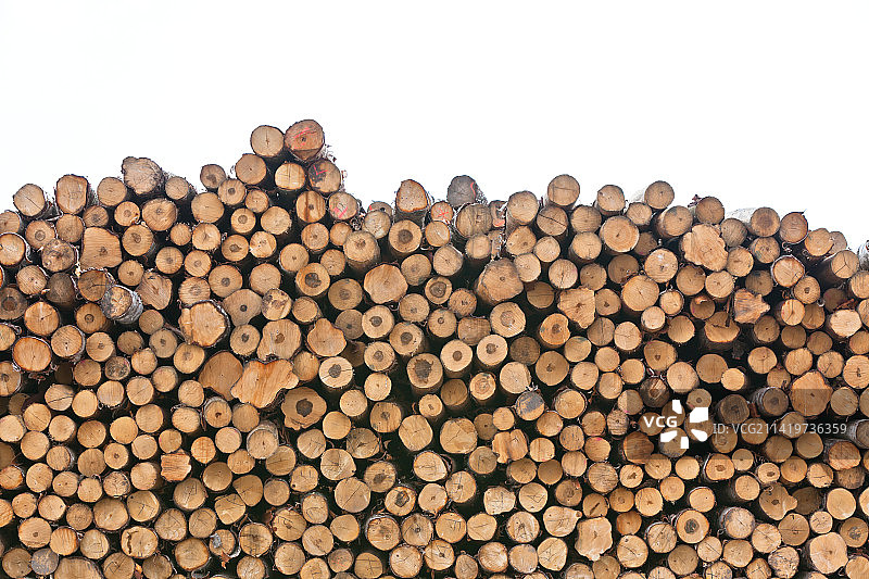 白色背景下的堆叠原木特写，罗马尼亚图片素材