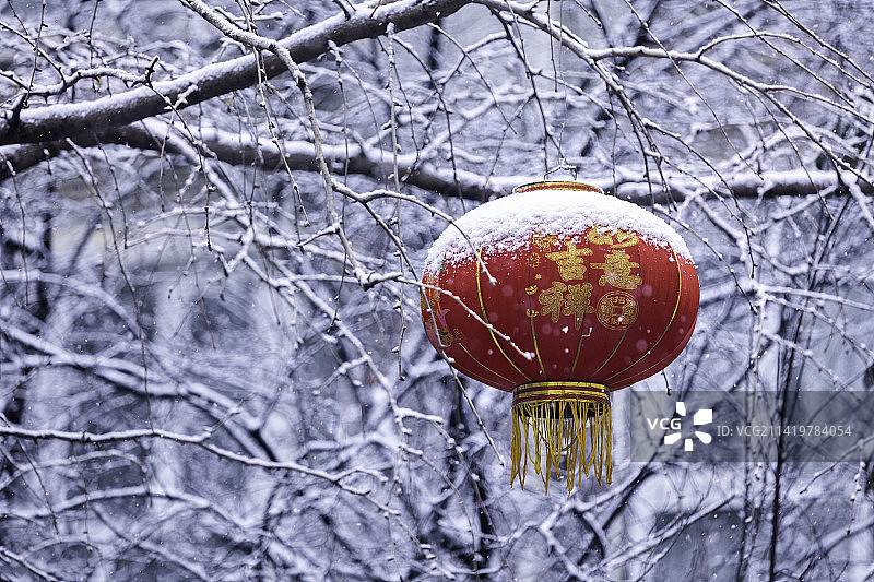 下雪冬天春节红色灯笼图片素材