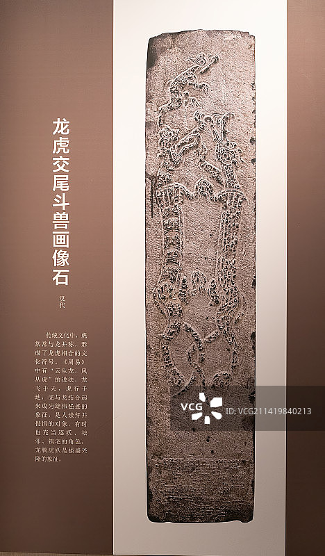 中国传统文化中的玄武图片素材