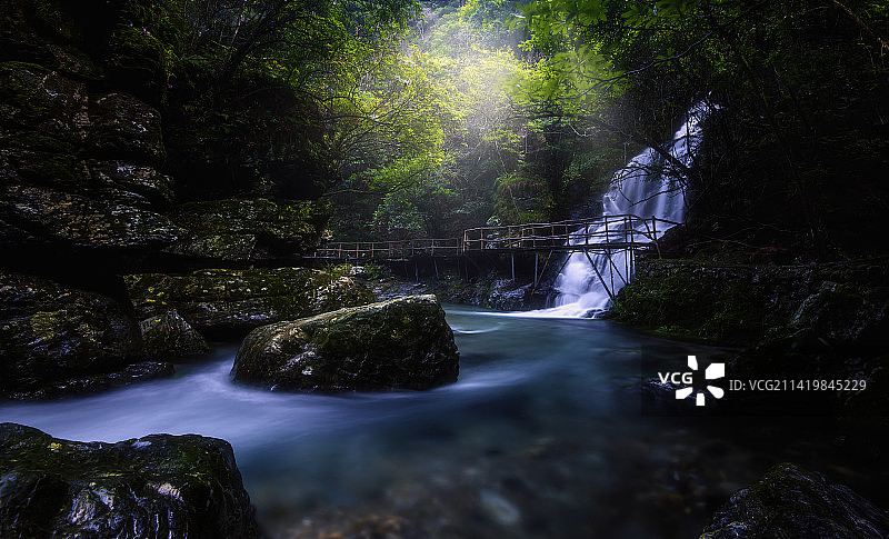 森林幽境--安徽池州石台仙寓山神龙谷景区风光图片素材