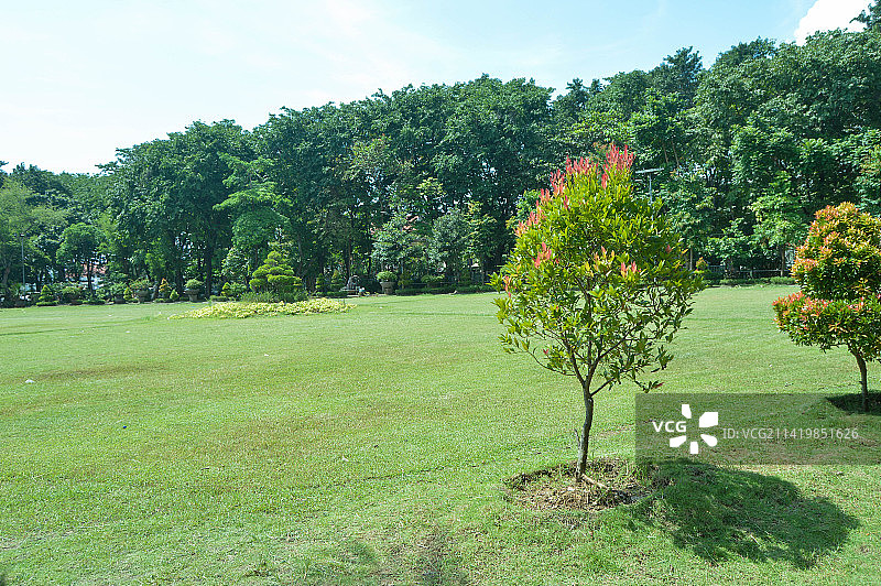 白天印度尼西亚Sidoarjo的城市公园景观图片素材