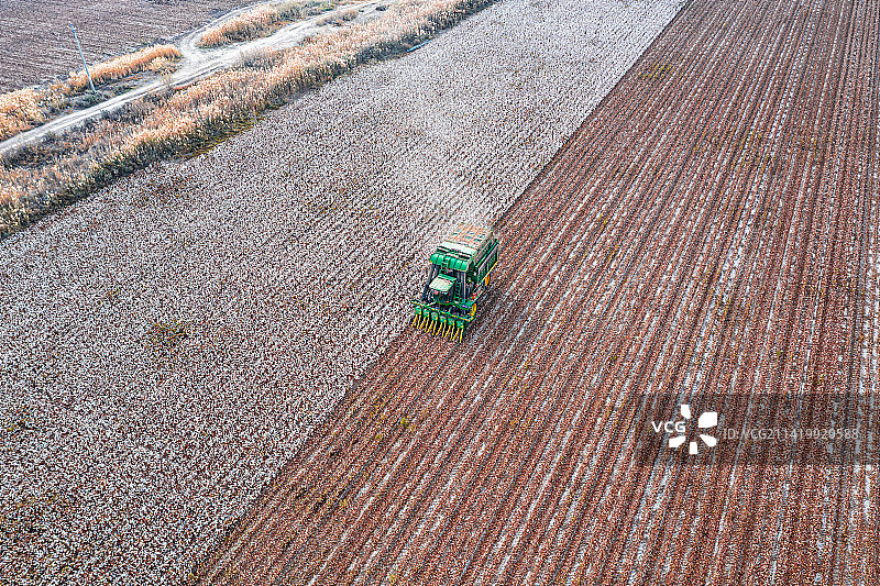 航拍：新疆 机械化收割长绒棉  棉花卷图片素材