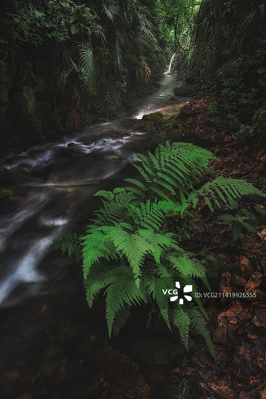 杭州天竺溪图片素材