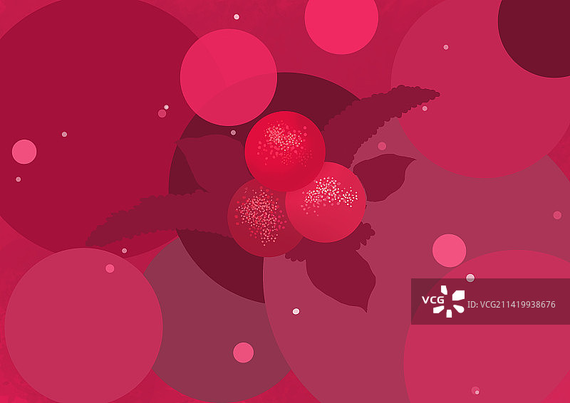 杨梅-水果插画图片素材