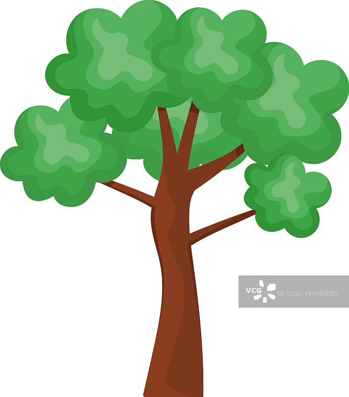 树木森林图片素材