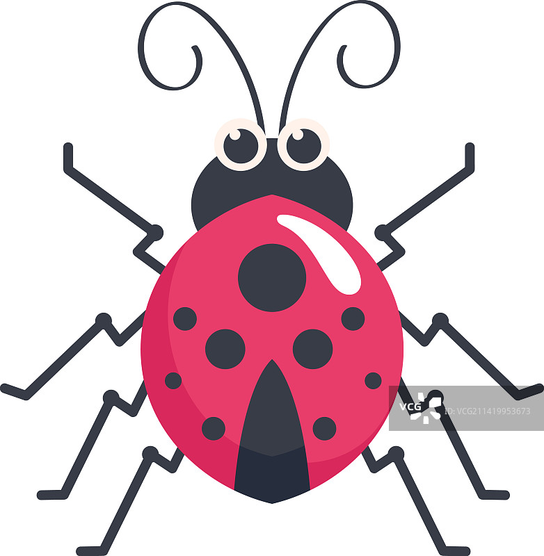 瓢虫昆虫花园图片素材