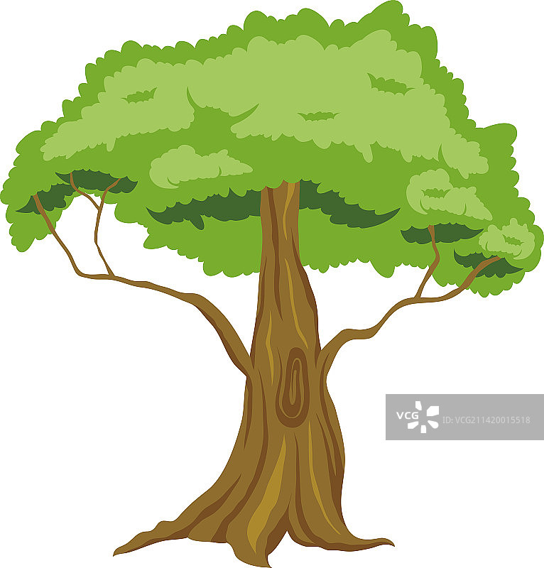 树木森林图片素材