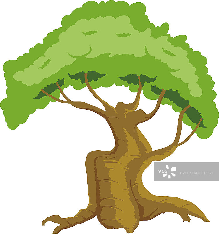 绿色森林图片素材