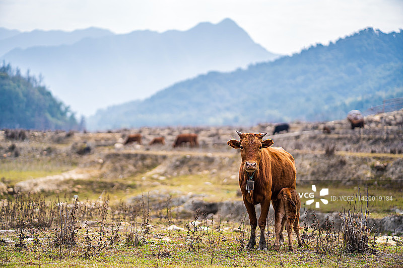韶关市乳源南水水库图片素材
