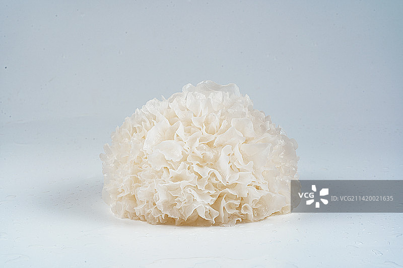 一朵银耳鲜银耳银耳特写图片素材