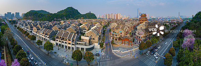 柳州窑埠古镇紫荆花航拍图片素材