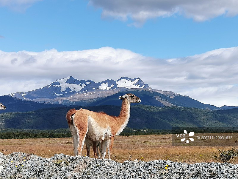 一念百内，万年河川图片素材