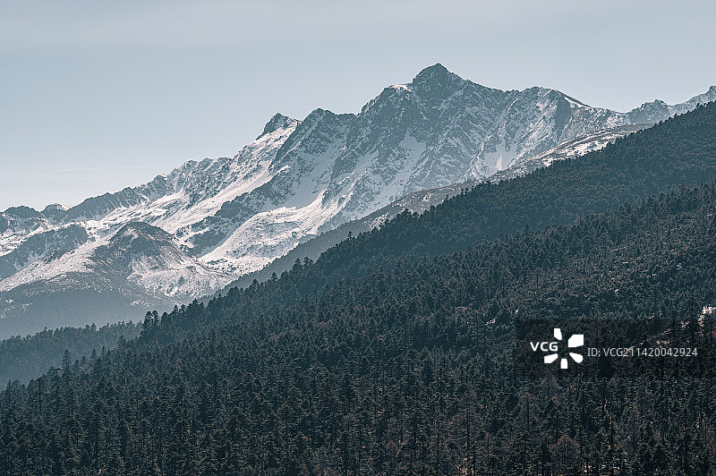 德钦县，白马雪山和森林图片素材