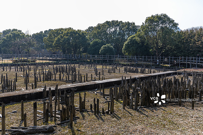 宁波余姚河姆渡遗址公园挖掘现场图片素材