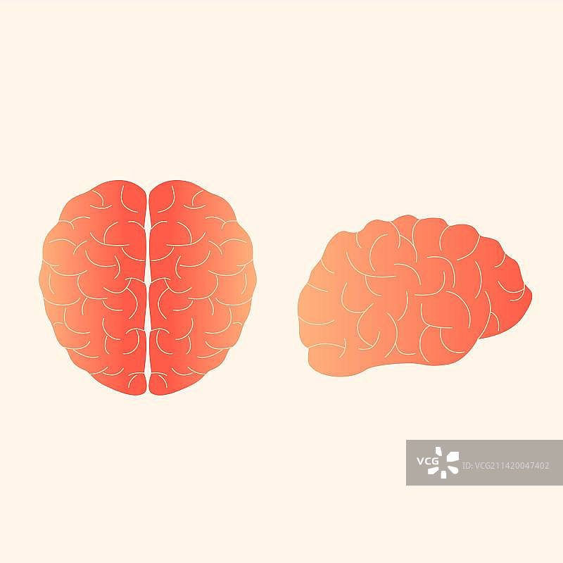 大脑人脑脑子医疗插画元素图片素材