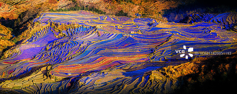 爱春蓝梯田图片素材